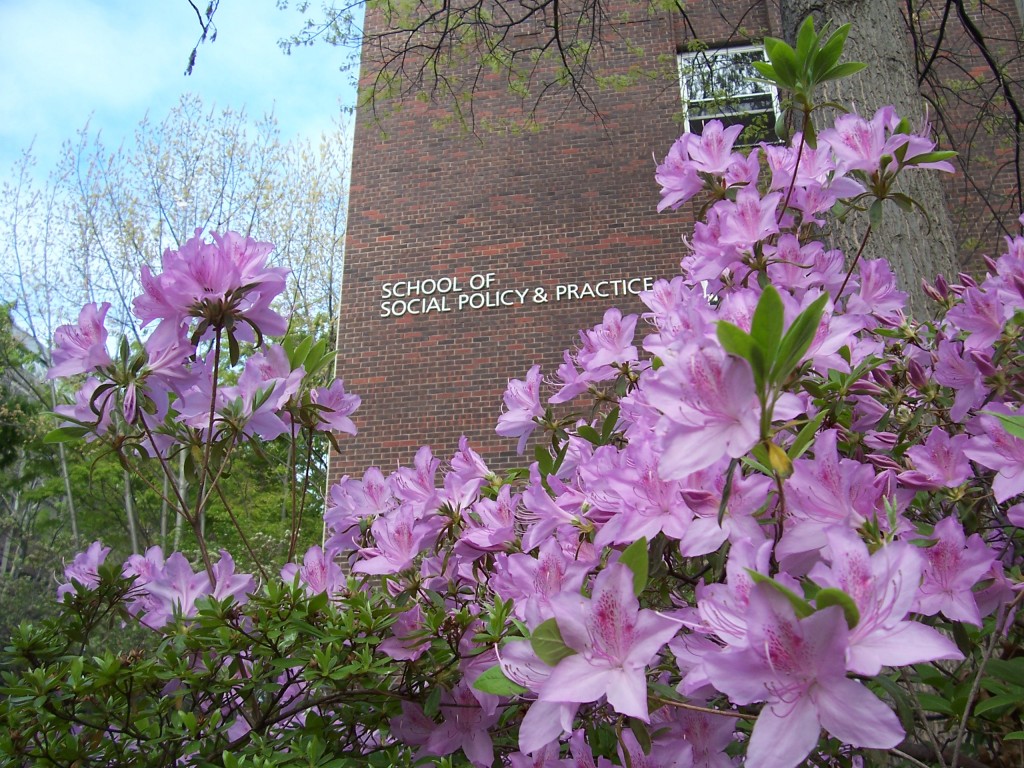 azaleas in front of the Caster building