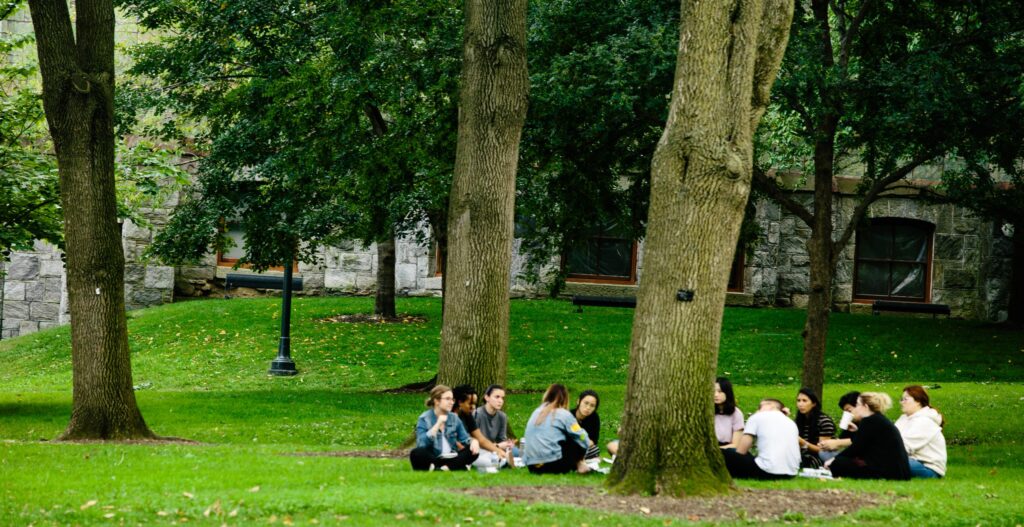 NPL students sitting outdoors on lawn, next to trees