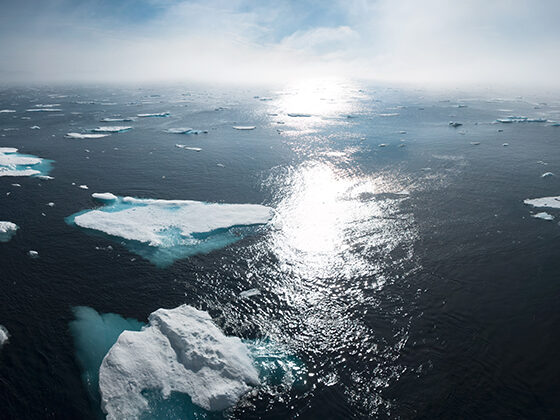 Ocean at sunset with melting ice