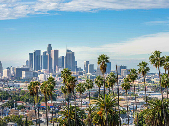 The Los Angeles skyline is shown with a blue sky above and palm trees in the foreground
