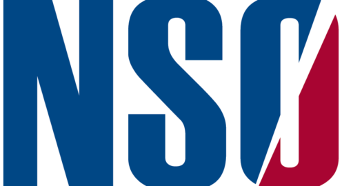 Nso Logo